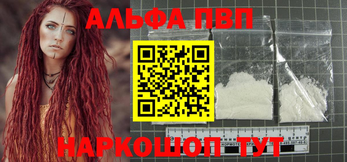 A PVP СК КРИС Луга