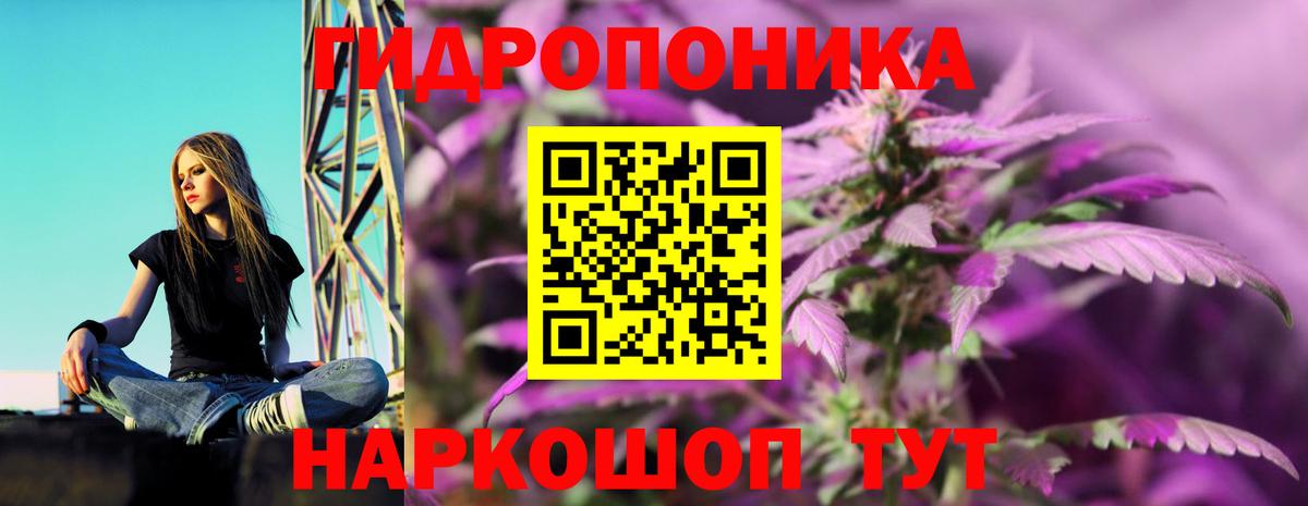 Каннабис SATIVA & INDICA  Канабис ГИДРОПОН  Каннабис тримм  Луга  Вход с VPN 